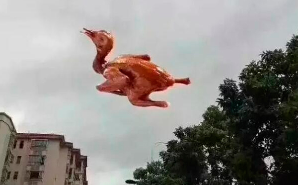 “天鴿”登陸了又怎樣，智彤印刷正常發放福利！